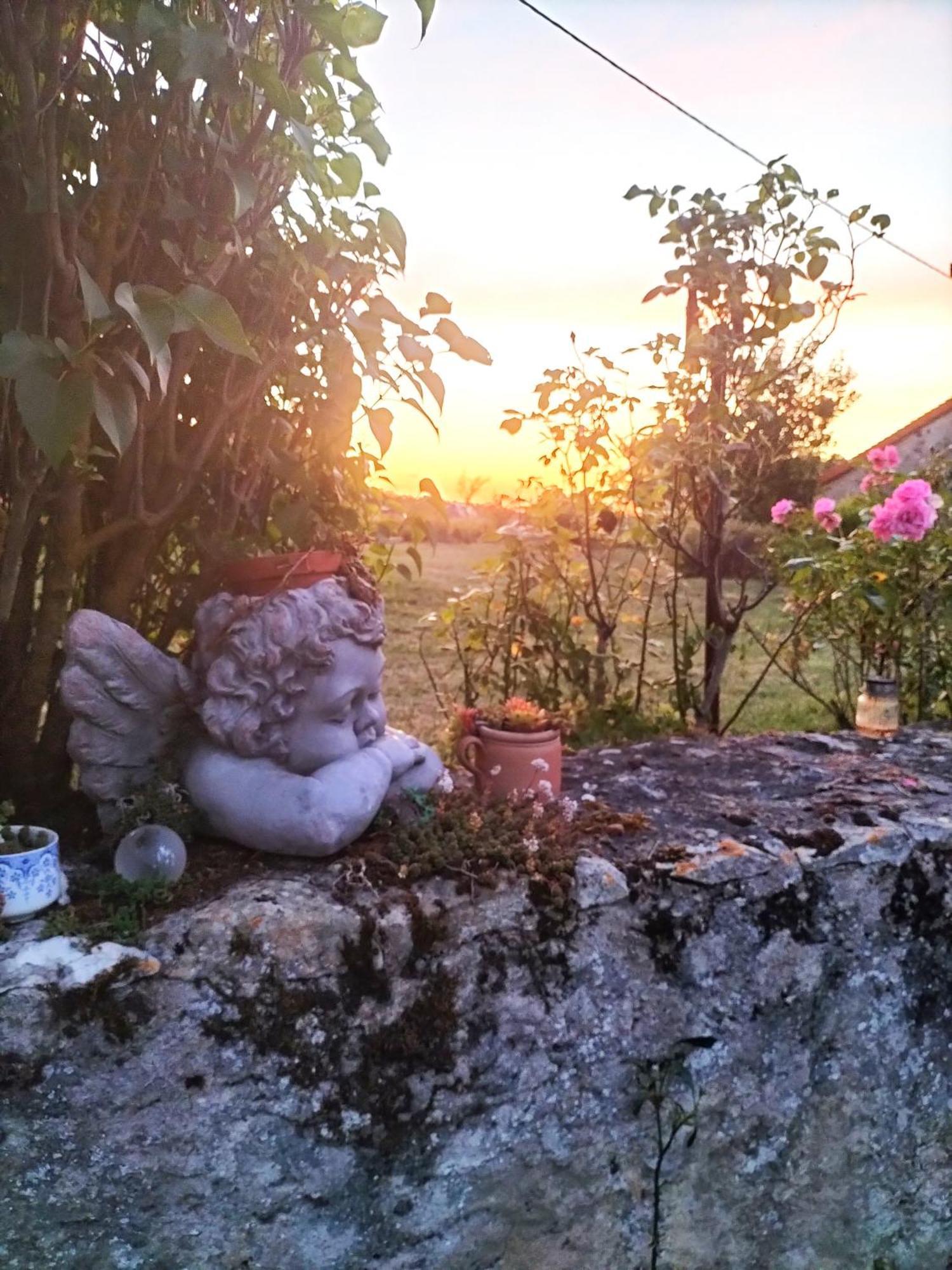 Charmante Maison, Calme Et Nature A La Roche Posay Exteriör bild