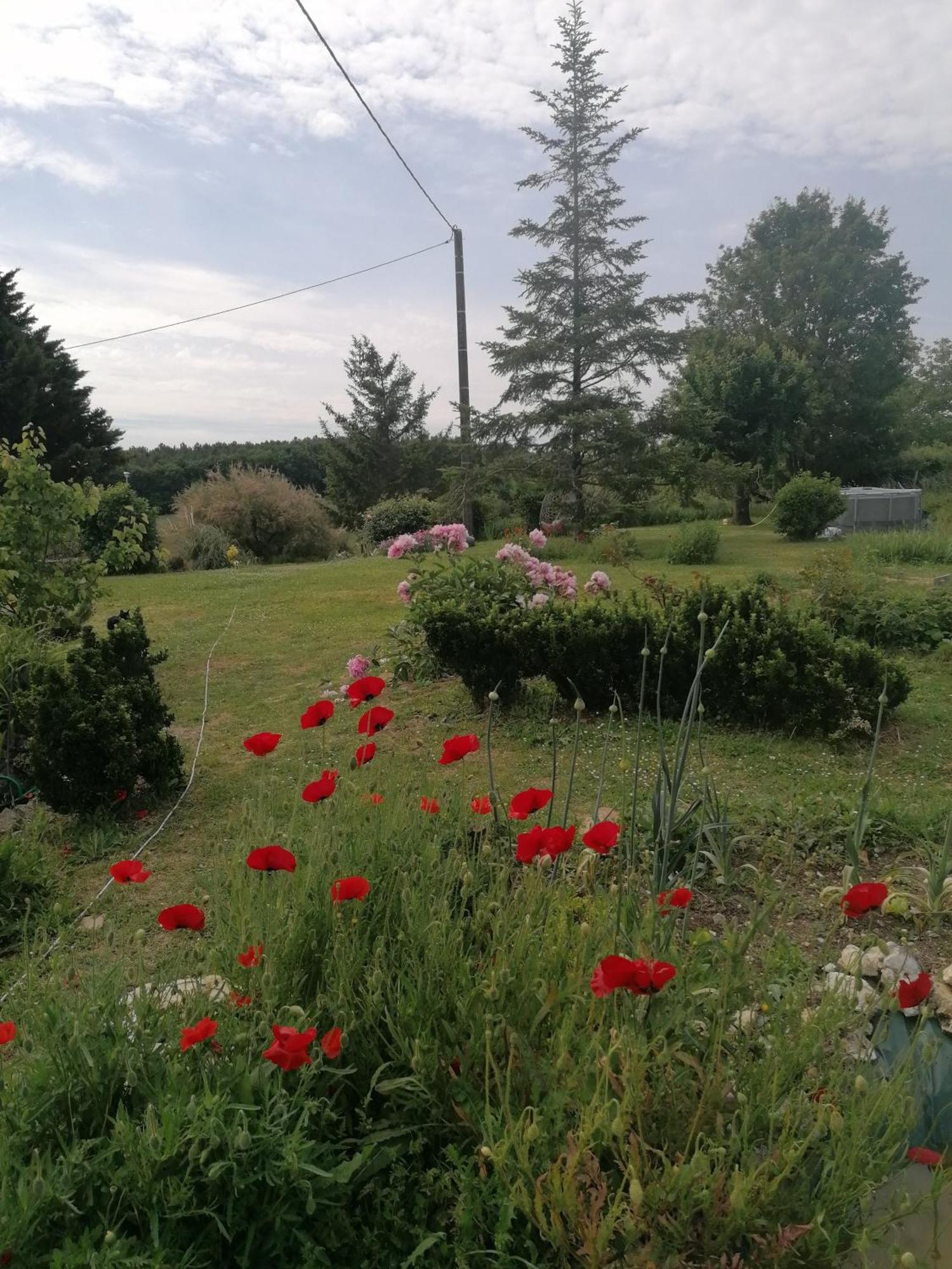 Charmante Maison, Calme Et Nature A La Roche Posay Exteriör bild