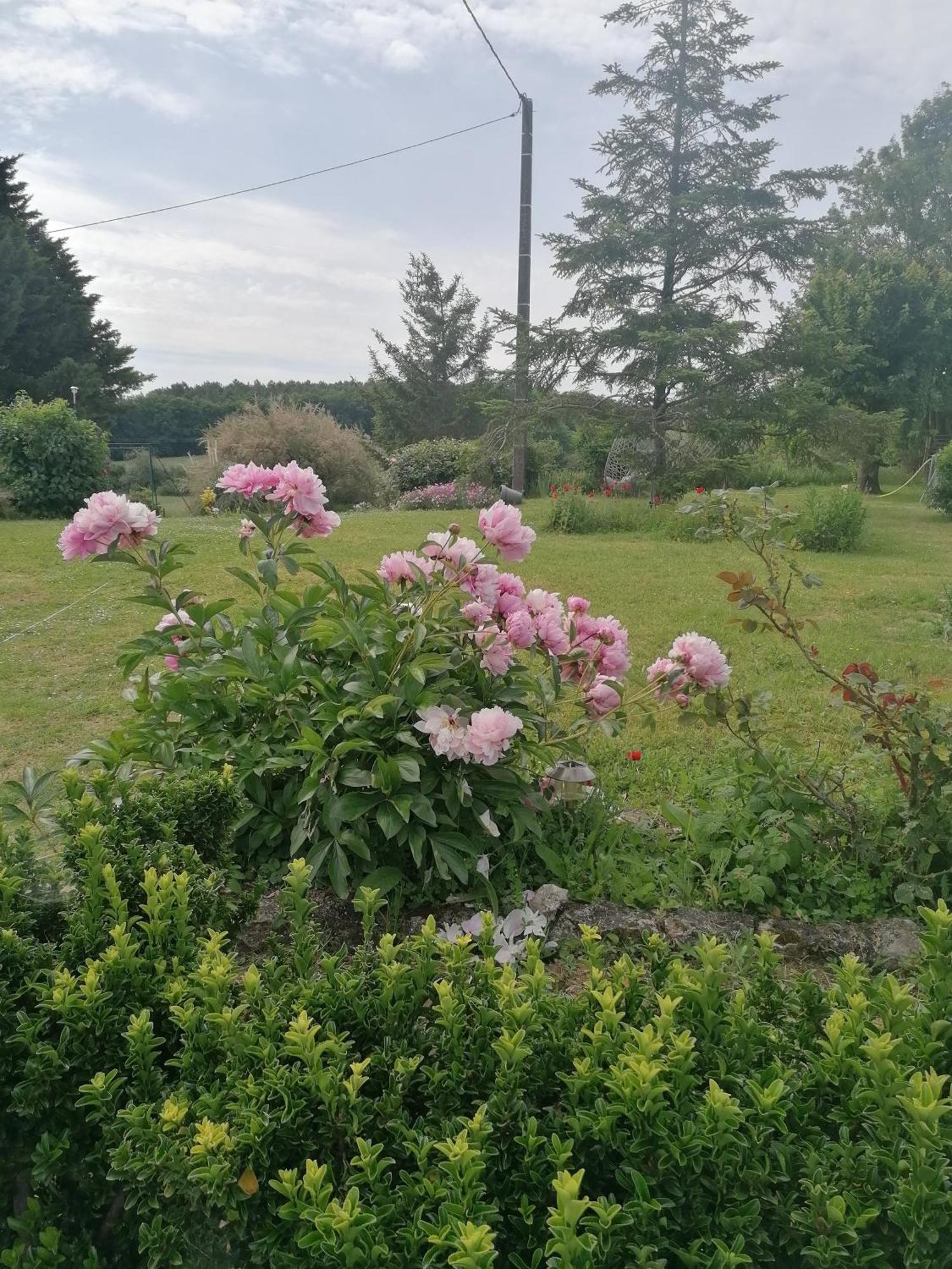 Charmante Maison, Calme Et Nature A La Roche Posay Exteriör bild