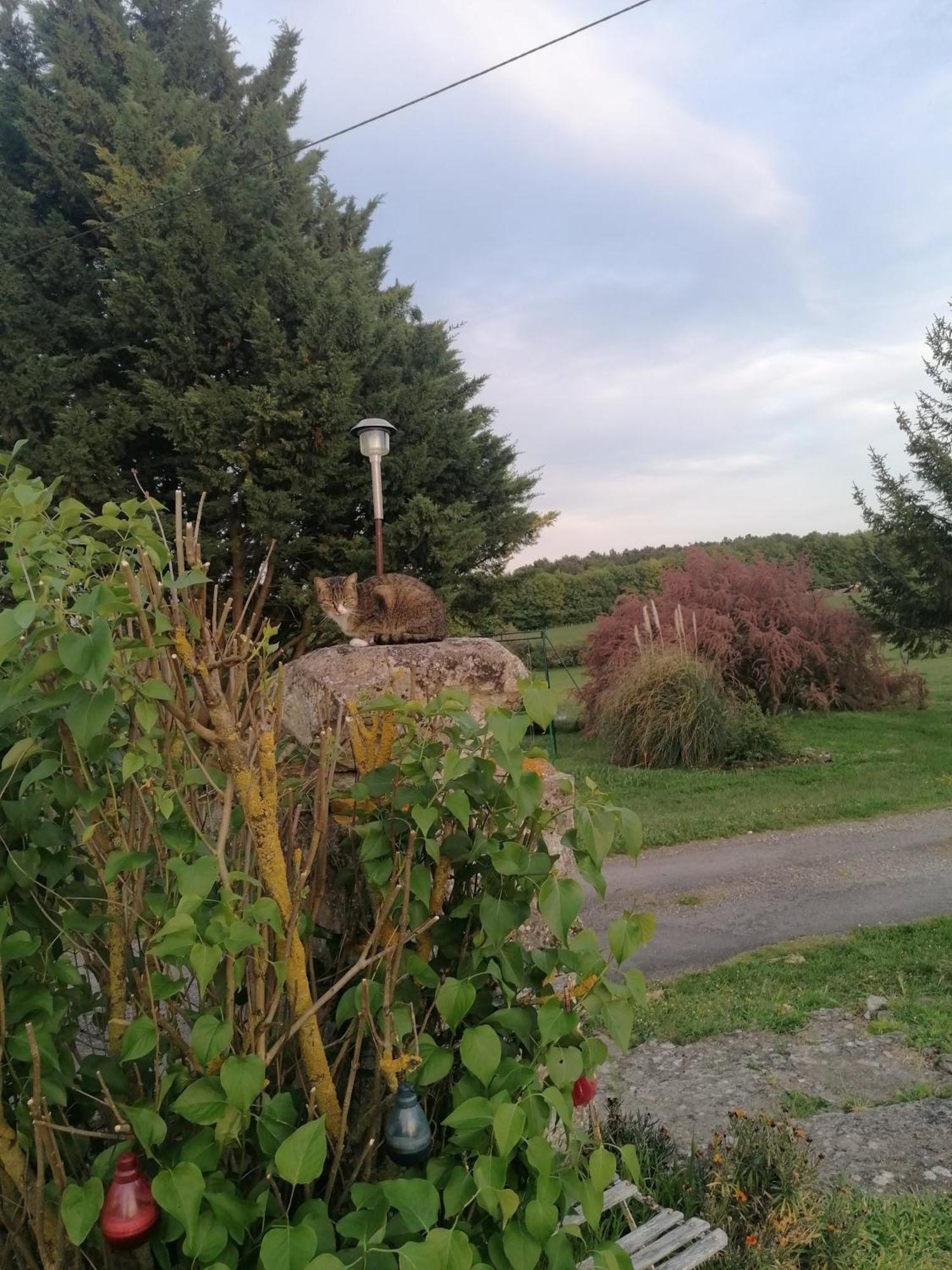 Charmante Maison, Calme Et Nature A La Roche Posay Exteriör bild