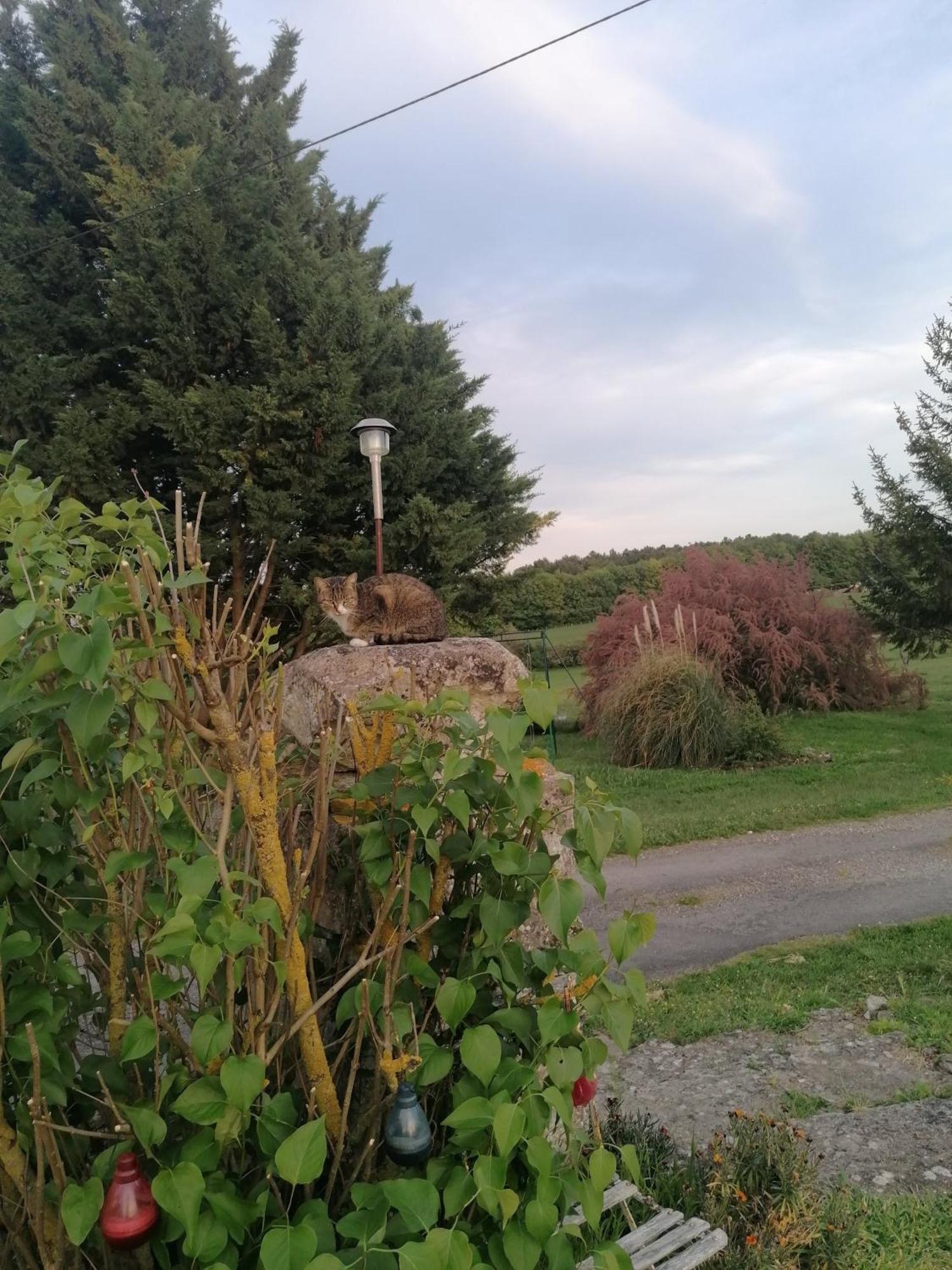 Charmante Maison, Calme Et Nature A La Roche Posay Villa Exteriör bild